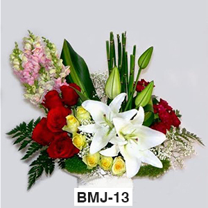 BMJ13