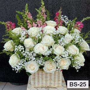 BS25