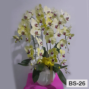 BS26