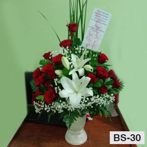 BS30