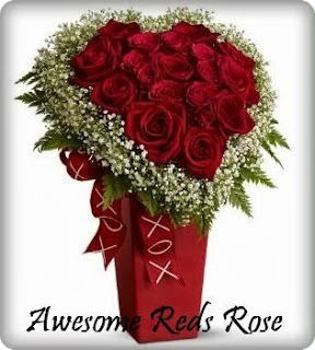 Rose in vase